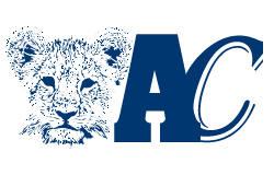 Active Cubs | Sport activities for children (kids) under 11